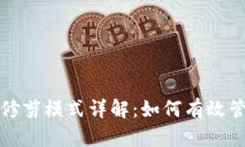 比特币钱包修剪模式详解:如何有效管理存储空间