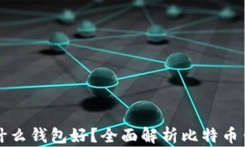 存比特币用什么钱包好?全面解析比特币钱包选择指南