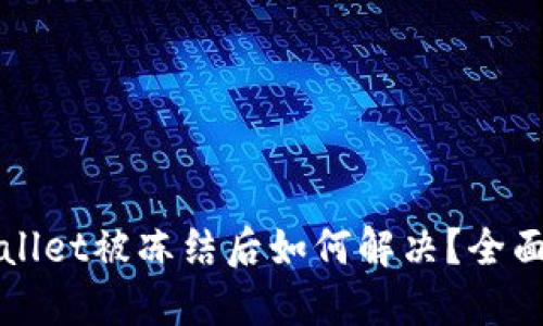 TPWallet被冻结后如何解决?全面指南