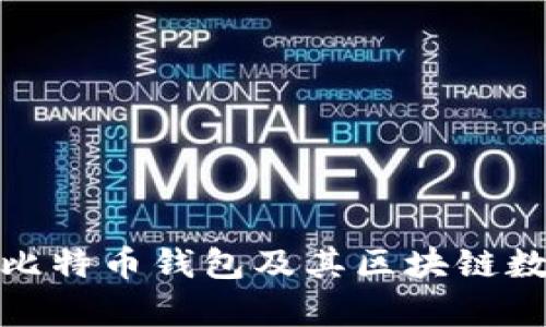 全面解析比特币钱包及其区块链数据的奥秘