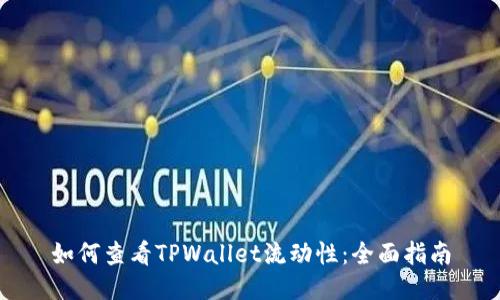 如何查看TPWallet流动性：全面指南