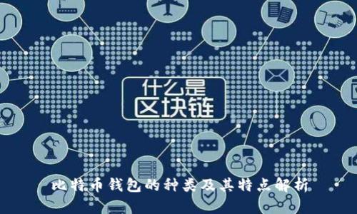 比特币钱包的种类及其特点解析