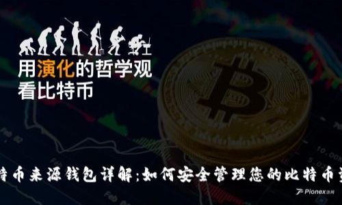 比特币来源钱包详解:如何安全管理您的比特币资产