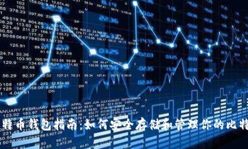比特币钱包指南:如何安全存储和管理你的比特币