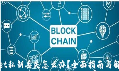 tpwallet私钥丢失怎么办?全面指南与解决方案