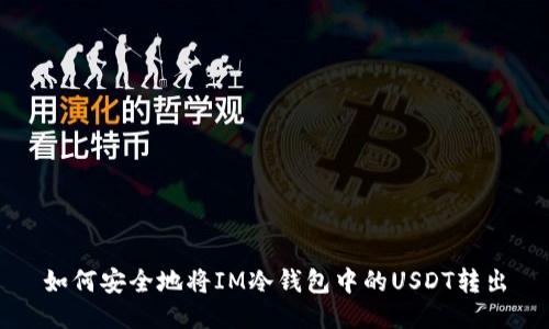 如何安全地将IM冷钱包中的USDT转出