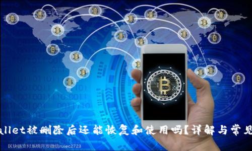 TPWallet被删除后还能恢复和使用吗？详解与常见问题