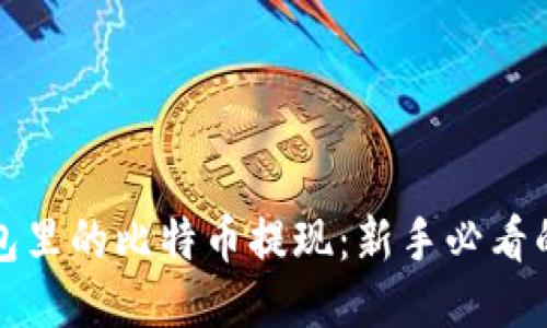 如何将钱包里的比特币提现:新手必看的详细指南