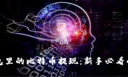 如何将钱包里的比特币提现:新手必看的详细指南