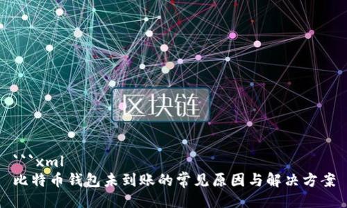 ```xml
比特币钱包未到账的常见原因与解决方案