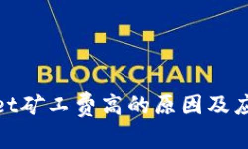 tpwallet矿工费高的原因及应对策略