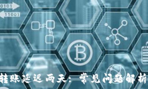TPWallet 转账延迟两天: 常见问题解析与解决方案