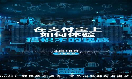 TPWallet 转账延迟两天: 常见问题解析与解决方案