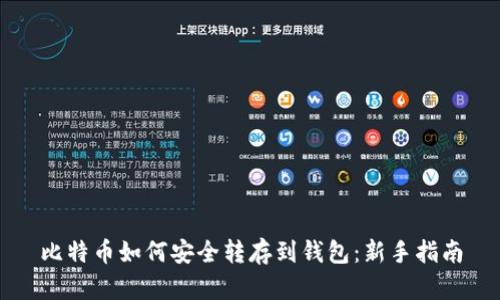 比特币如何安全转存到钱包:新手指南