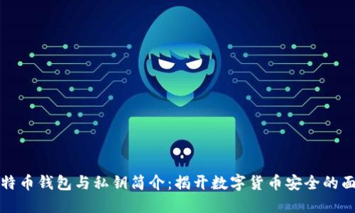 比特币钱包与私钥简介:揭开数字货币安全的面纱