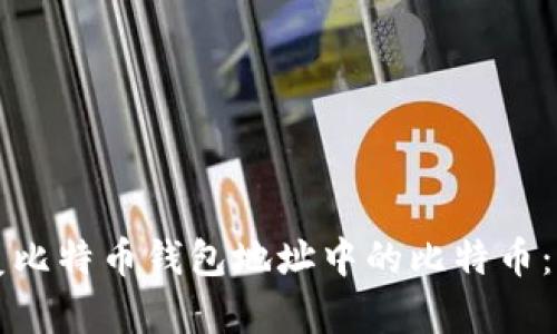 如何恢复比特币钱包地址中的比特币:详细指南