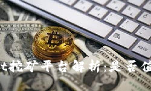 TPWallet挖矿平台解析:是否值得投资?