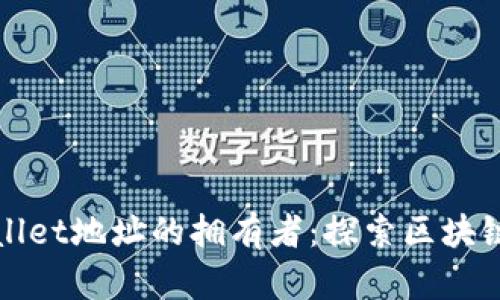 如何查询TPWallet地址的拥有者:探索区块链隐私与透明性