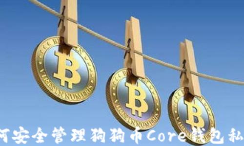 如何安全管理狗狗币Core钱包私钥?
