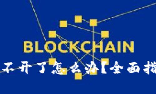 比特币钱包打不开了怎么办？全面指南与解决方案