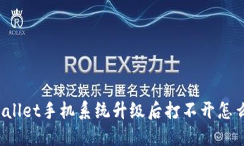 TPWallet手机系统升级后打不开怎么办？