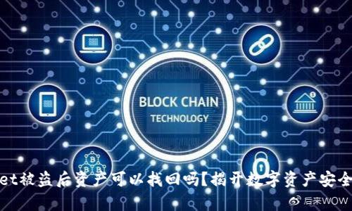 tpwallet被盗后资产可以找回吗？揭开数字资产安全的真相