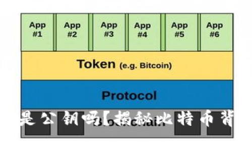 比特币钱包地址是公钥吗？揭秘比特币背后的密码学原理