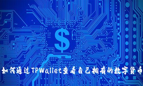 如何通过TPWallet查看自己拥有的数字货币