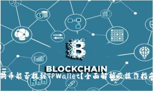 狗币能否提到TPWallet？全面解析及操作指南