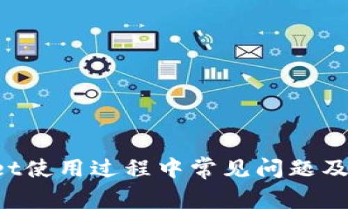  TPWallet使用过程中常见问题及解决方案