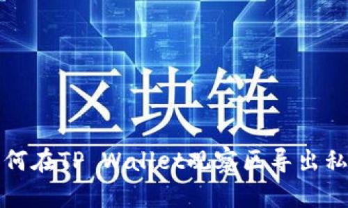 如何在TP Wallet观察区导出私钥