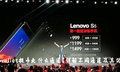 : tpwallet提币走什么通道？详解不同通道及其优缺点