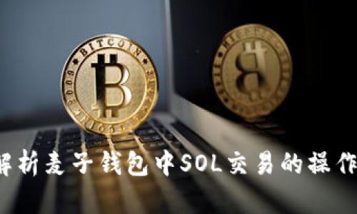  深入解析麦子钱包中SOL交易的操作与技巧